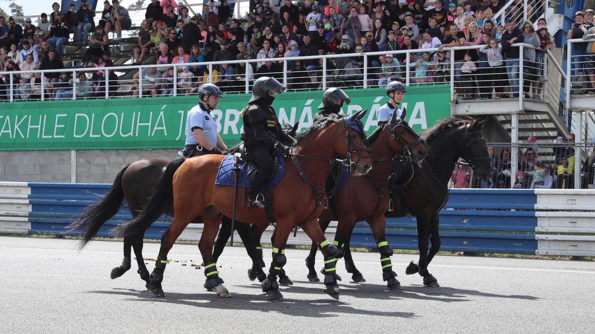 Žena na Českolipsku bloudila po pádu z koně, náhodou ji našli policisté